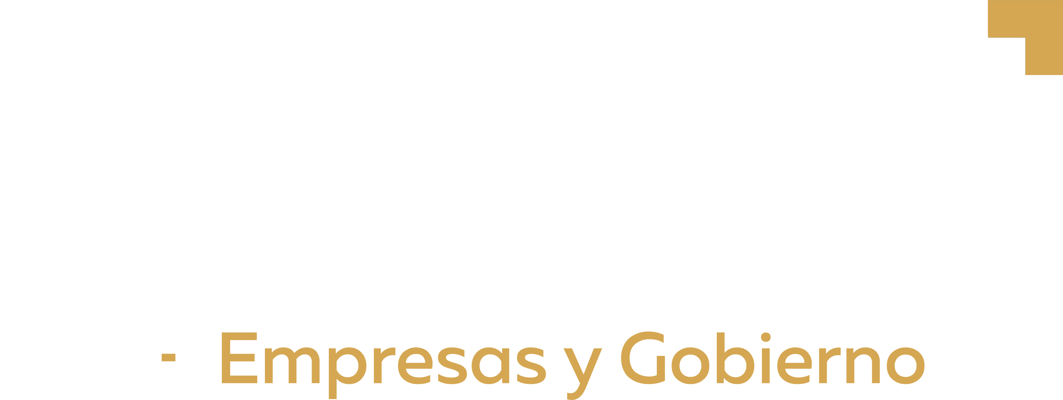 Ingenium Empresas y Gobierno